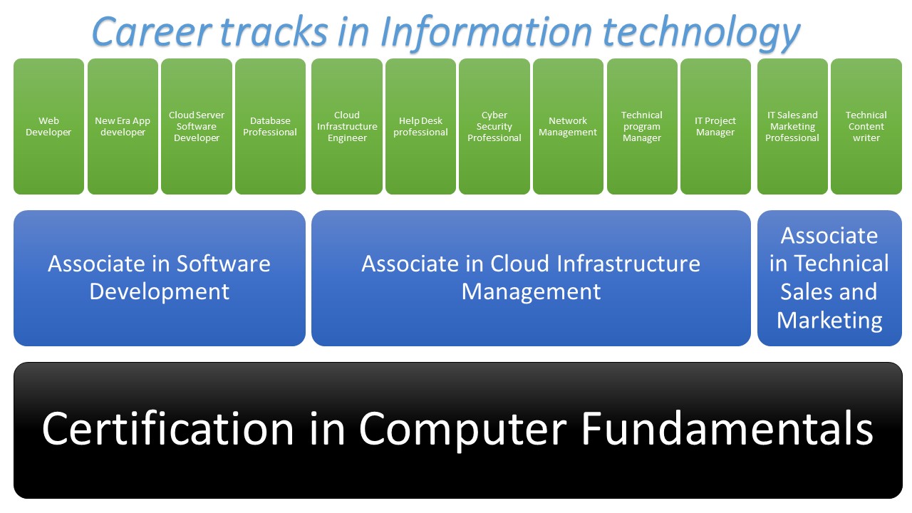 Career tracks in Information technology